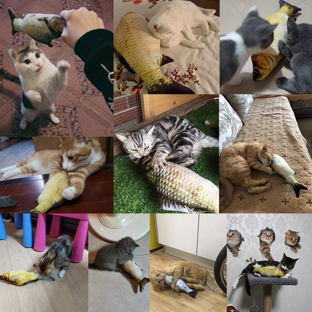 Without Cat Nip Version - Electric Jumping Fish Simulation Electric Fish Toy.