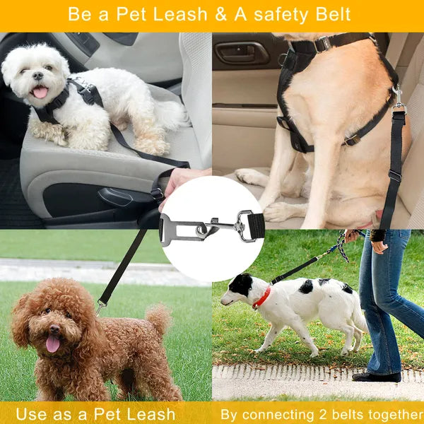 Safety leash for pets