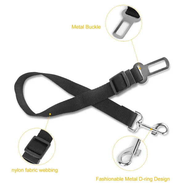 Safety leash for pets