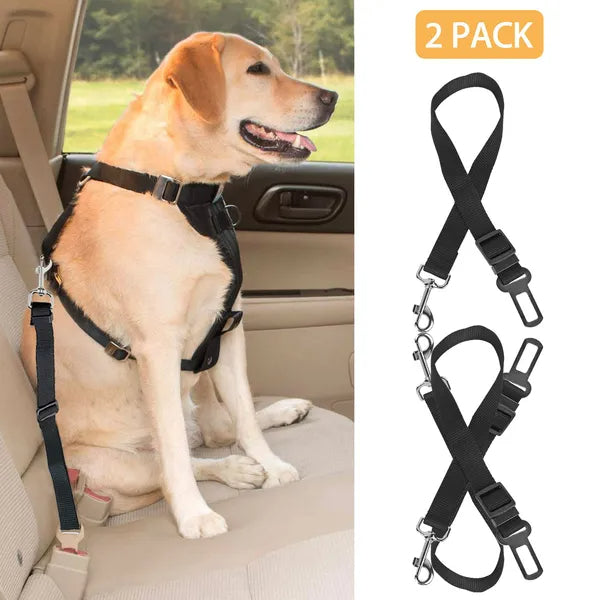 Safety leash for pets
